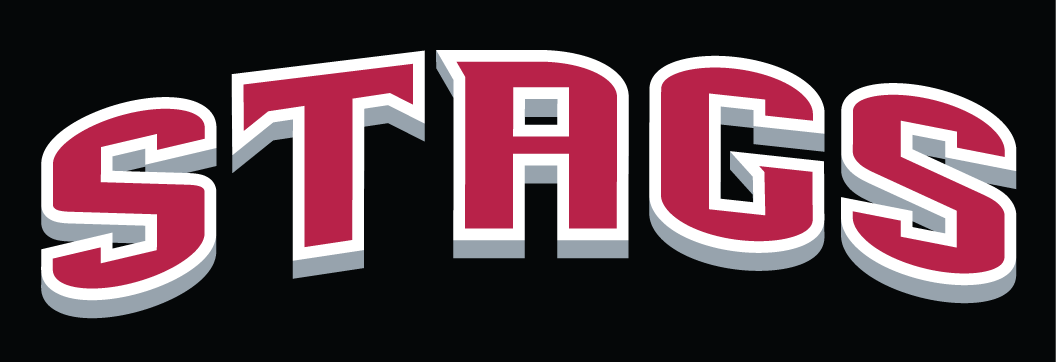 Fairfield Stags 2002-Pres Wordmark Logo v6 diy iron on heat transfer